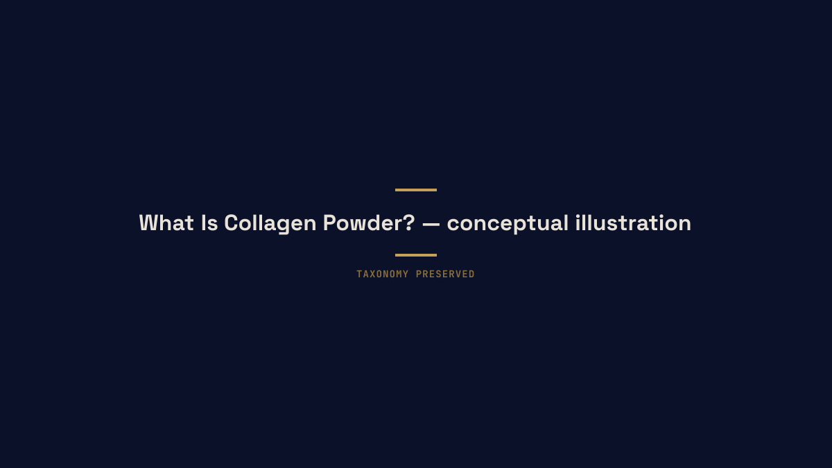 Conceptual diagram illustrating collagen-powder-benefits-guide
